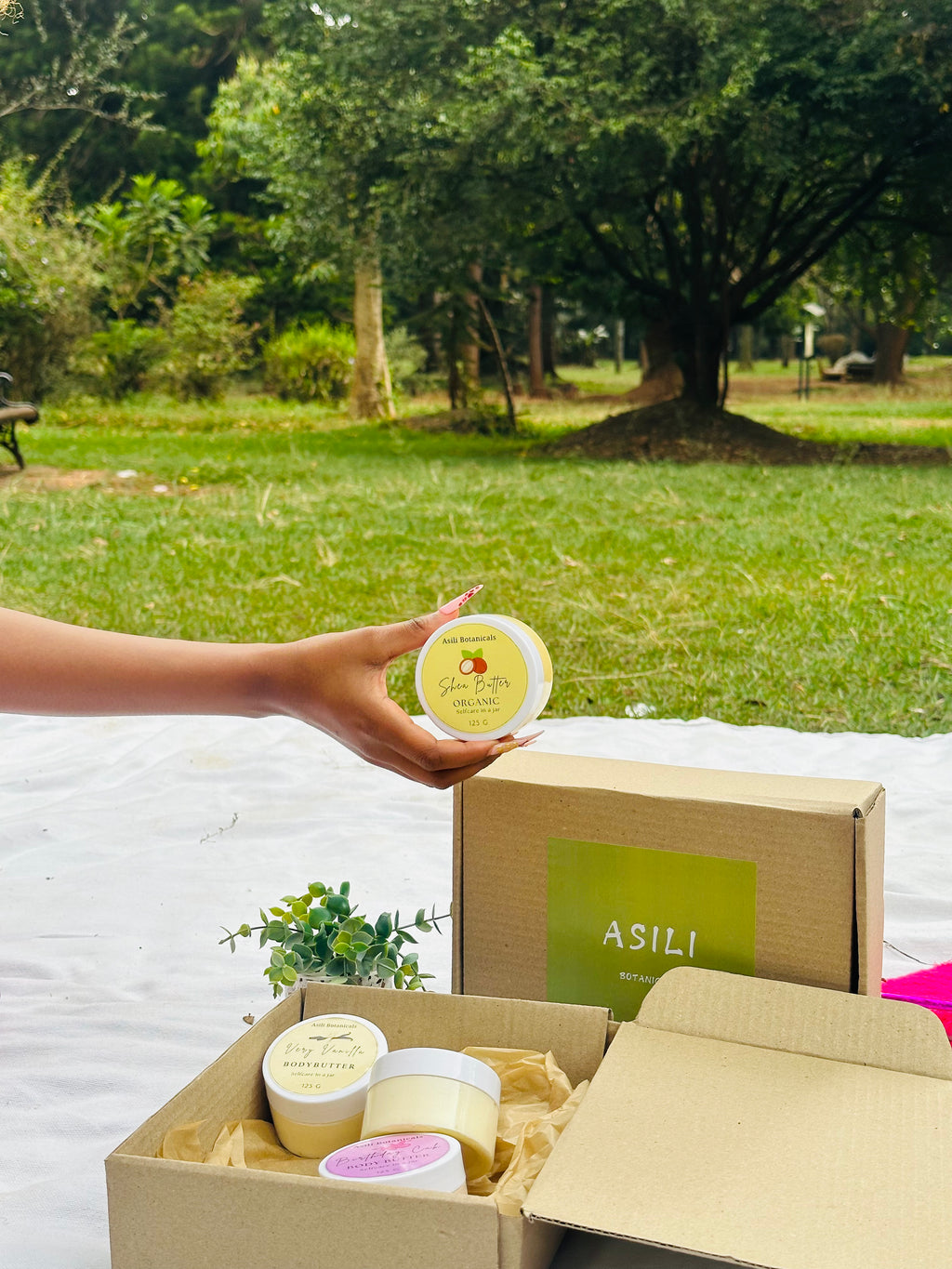 Pure Organic Shea Butter - Unscented